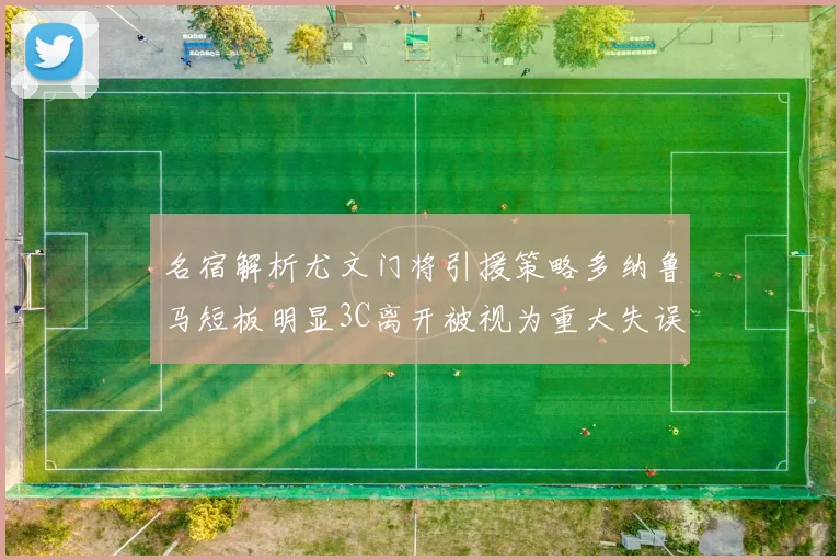 名宿解析尤文门将引援策略多纳鲁马短板明显3C离开被视为重大失误