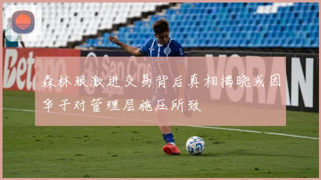 森林狼激进交易背后真相揭晓或因华子对管理层施压所致